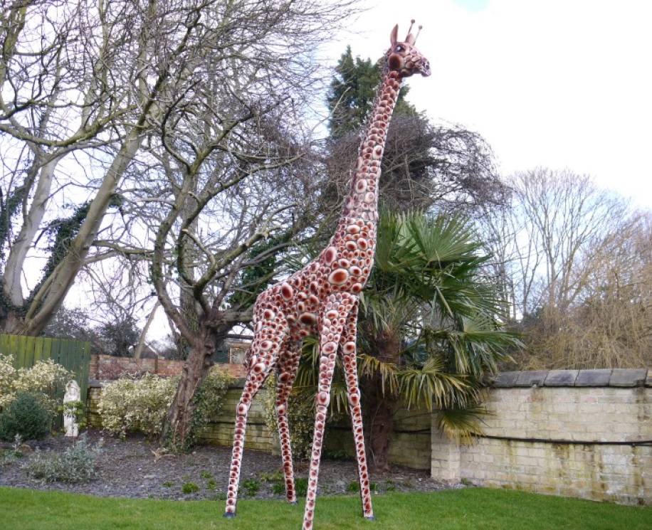 giraffe.jpg2